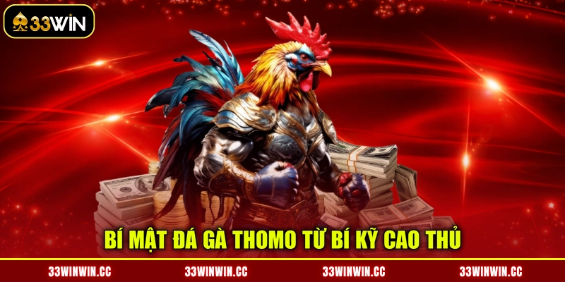 Bí mật đá gà Thomo từ bí kỹ cao thủ
