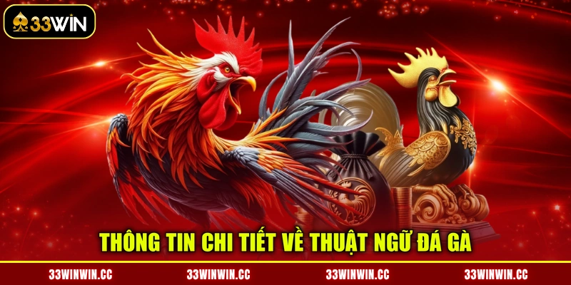 Thông tin chi tiết về thuật ngữ đá gà